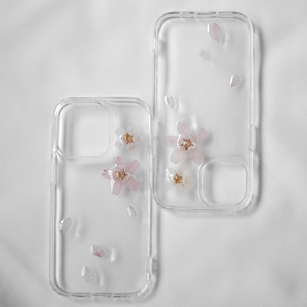 桜　Cherry blossom