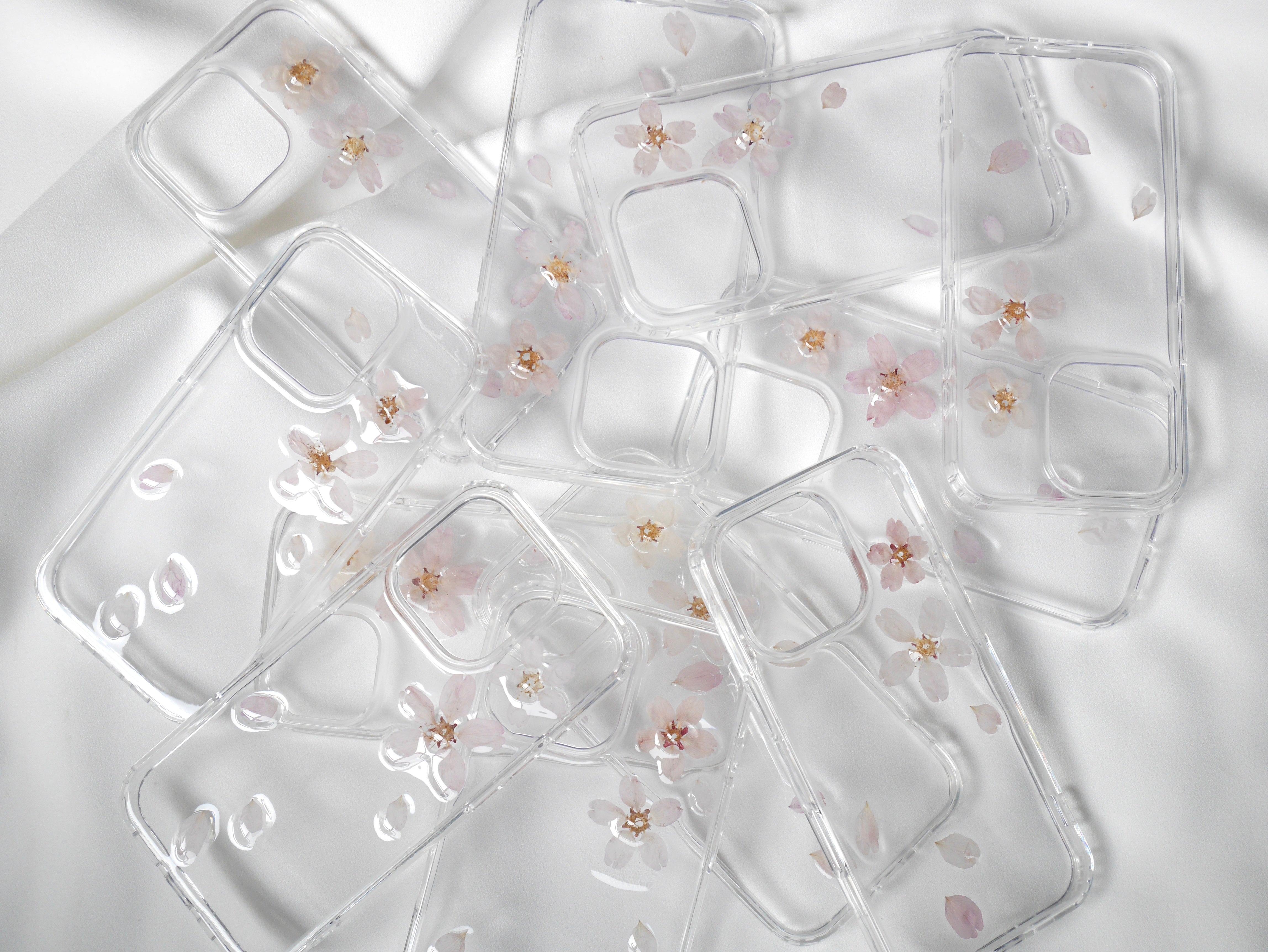 桜 Cherry blossom – ikkasoel