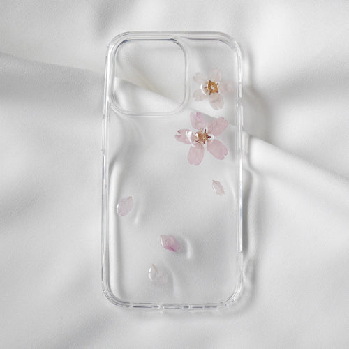 桜　Cherry blossom